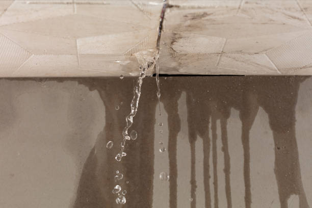 Professional Water Damage Repair technician working in Clio, MI